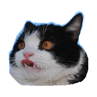 derp STICKER by imoji