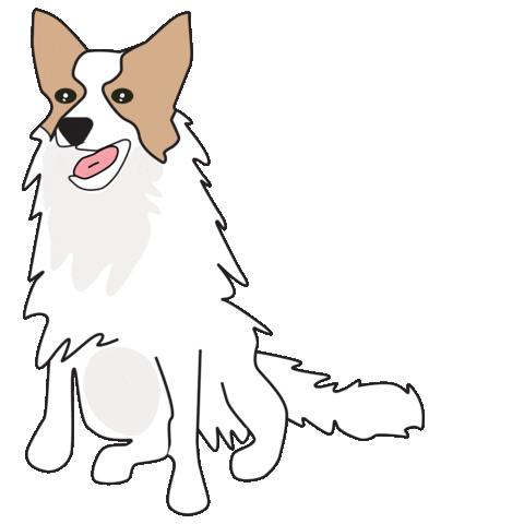 dog love Sticker by ELISABETTA FRANCHI