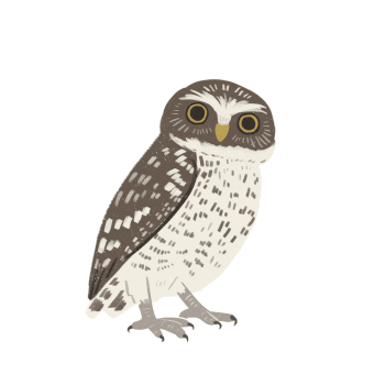 Confused Bird Sticker