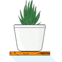 arturocruz16 plantas diseñografico suculenta macetera Sticker