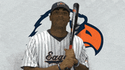 Cnbb20 GIF by Carson-Newman Athletics