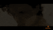 Timothee Chalamet Dune GIF by Regal