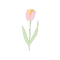 Flower Cal Sticker by Hobbii