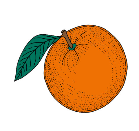 Summer Orange Sticker