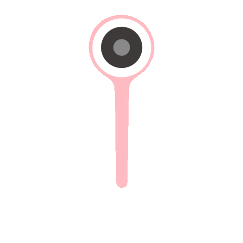 Lollipop Sticker by Lollipopbabycamera