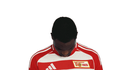 Union Berlin Sticker by Bundesliga