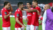 sl benfica hug GIF by Sport Lisboa e Benfica
