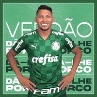 GIF by SE Palmeiras
