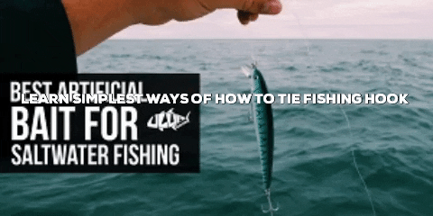 retherkel giphygifmaker GIF