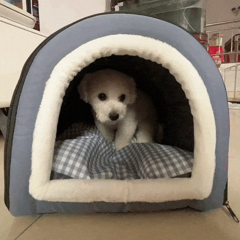 GIF CozyHome™ Cocoon confortable pour chien