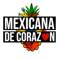 josefina_byverosolis fashion moda mexican josefina Sticker