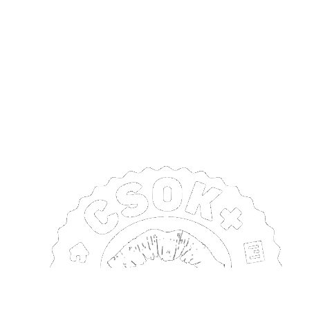 Csok Sticker by TOP3 Ingatlan