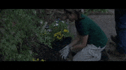 Garden Working GIF by VVS FILMS