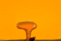 5 Star Chocolate GIF