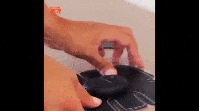 exotic-shop-fr giphyupload GIF