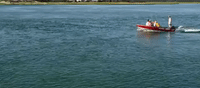massachusetts GIF