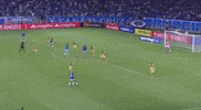 Boca Juniors Libertadores GIF