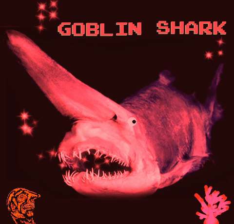 goblin shark GIF