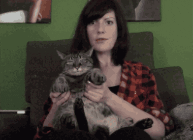 Dancing Cat GIF by alixmcalpine