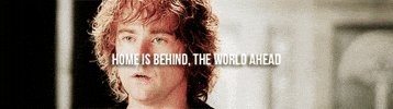 lord of the rings GIF