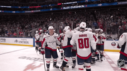 Happy Washington Capitals GIF by NHL