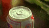 Coors Light Budweiser GIF by Willie Jones