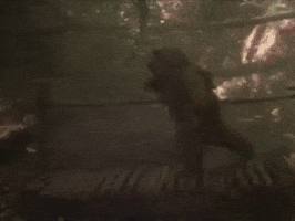 caravan of courage GIF by mdleone