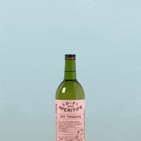Vibes Fall GIF by Lo-Fi Aperitifs