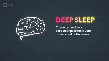Why Do We Dream?