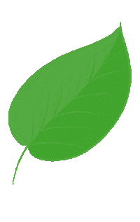 therawberry green plant minimal fresh Sticker