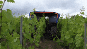 3D Wine GIF by ifm_electronic