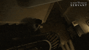 Watching M Night Shyamalan GIF by Apple TV+