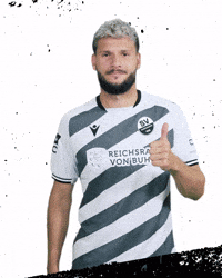 3Liga GIF by SV Sandhausen