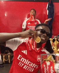 Arsenal Gunners GIF