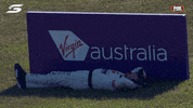 V8 Supercars GIF by Supercars Championship