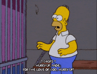 homer simpson GIF