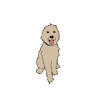 Golden Doodle Sticker