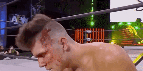 Matt Hardy Aew On Tnt GIF by All Elite Wrestling on TNT