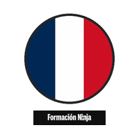 France Flag Sticker by Formación Ninja