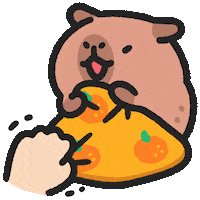 Sleep No Sticker