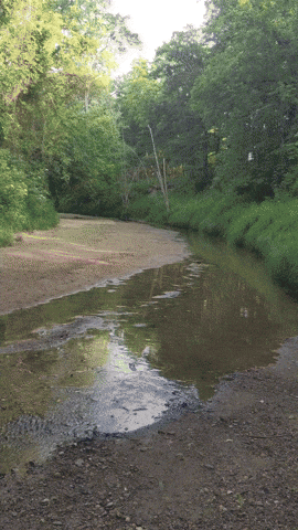 MOhunting giphyupload GIF