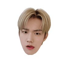 P1Harmony Sticker