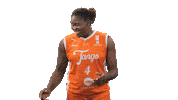 Basketball Sticker by Tango Bourges Basket