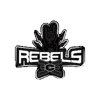 Cheer Rebels Sticker by East Celebrity Elite