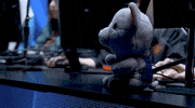 cs:go iem GIF by dignitas
