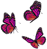 Summer Flower Sticker