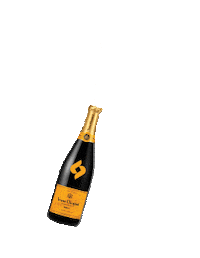 champagne pop bottles Sticker by SkinnyFit
