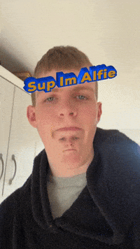 Overwatch Alfie GIF