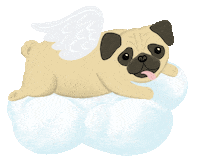 Valentines Day Love Sticker by Paper Source