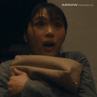 Takashi Shimizu Horror GIF by Arrow Video